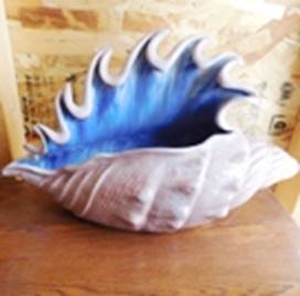 A blue and white shell on a wood surface

AI-generated content may be incorrect.