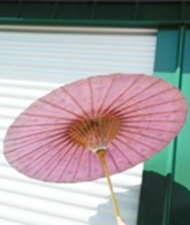 A pink umbrella with a green background

AI-generated content may be incorrect.