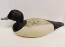 A black and white duck

AI-generated content may be incorrect.
