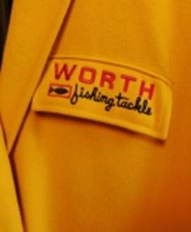 A close-up of a yellow jacket

AI-generated content may be incorrect.